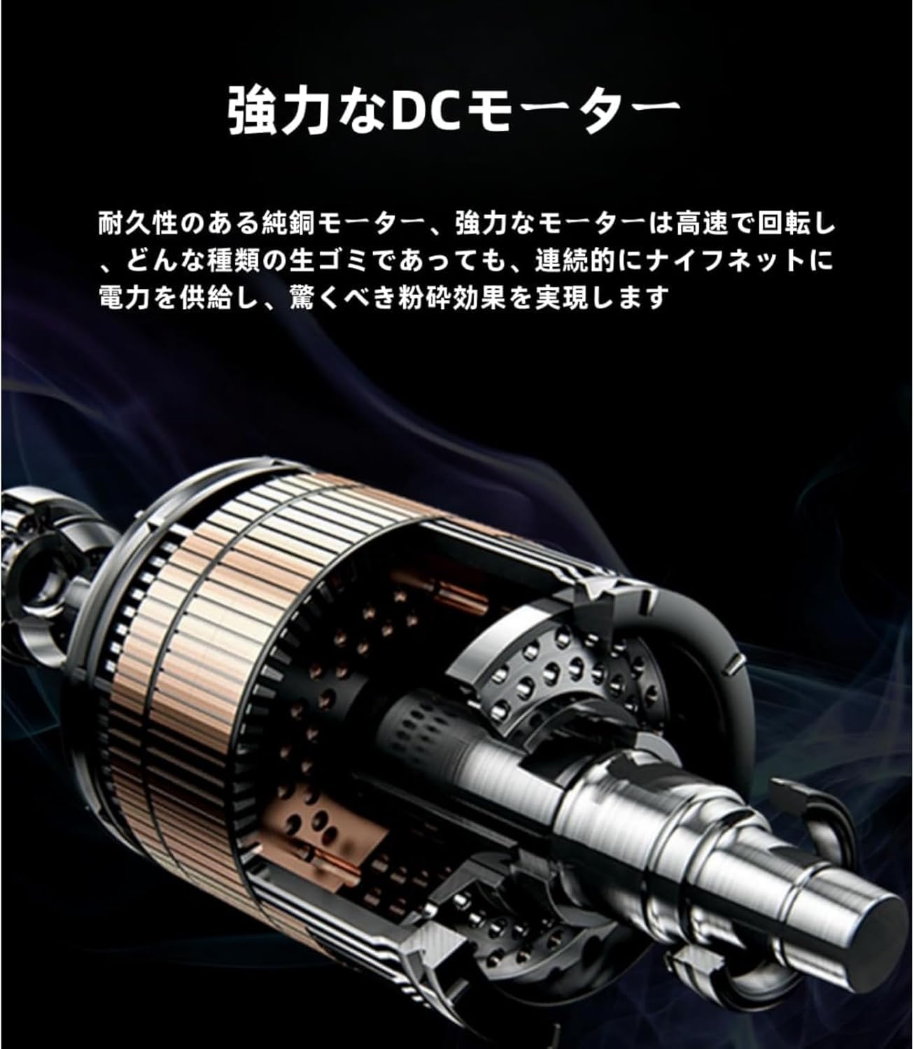 新品 CALMA STORE 38kt Skelton Tortoise 38灯 Calma Store 38灯 鼈甲