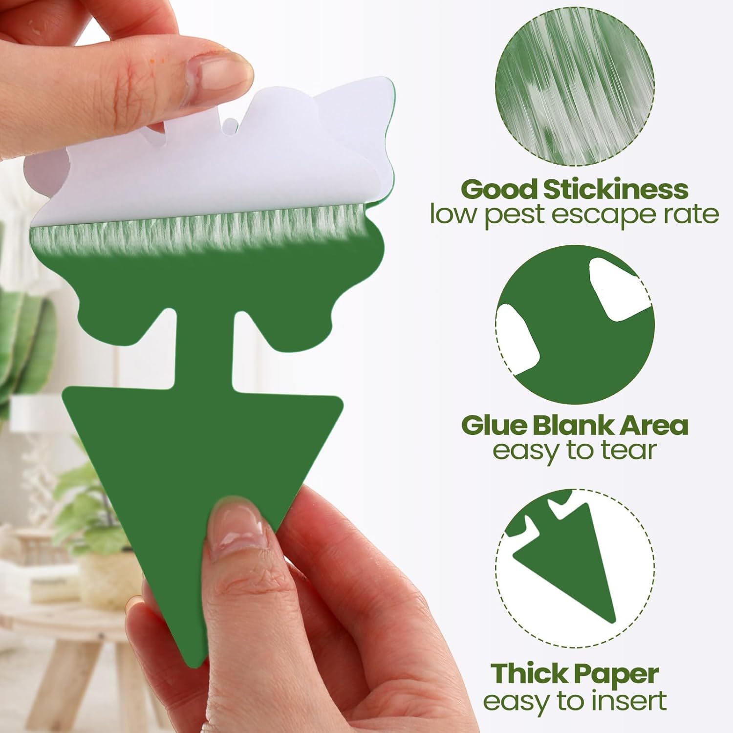 Qualirey 200 Sheets Fruit Fly Sticky Traps for Fruit Fly Gnat Trap for House Indoors Sticky Traps Catcher for Gnats Fungus Gnats Mosquito Catcher for Kitchen Outdoor Plants(Yellow, Green)