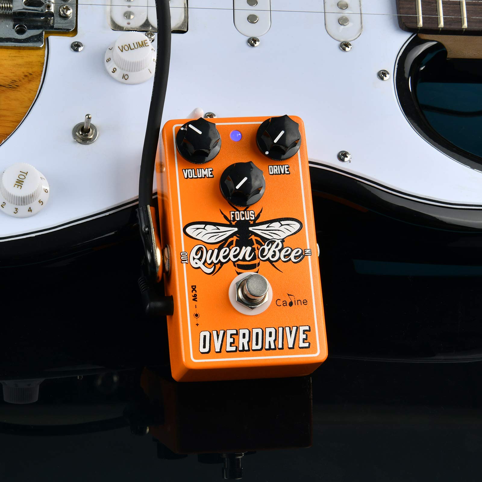 Amazon.com: Caline CP-503 Queen Bee Overdrive Pedal - Electric