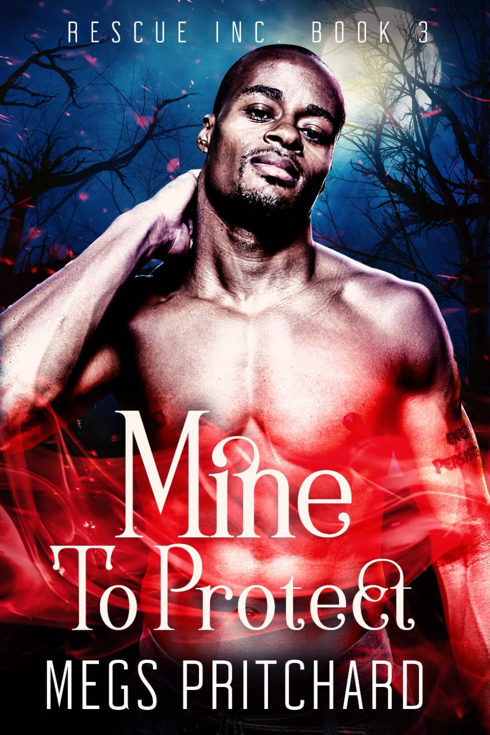 Mine to Protect: A Vampire Paranormal Gay Romance (A Rescue Inc Novel)