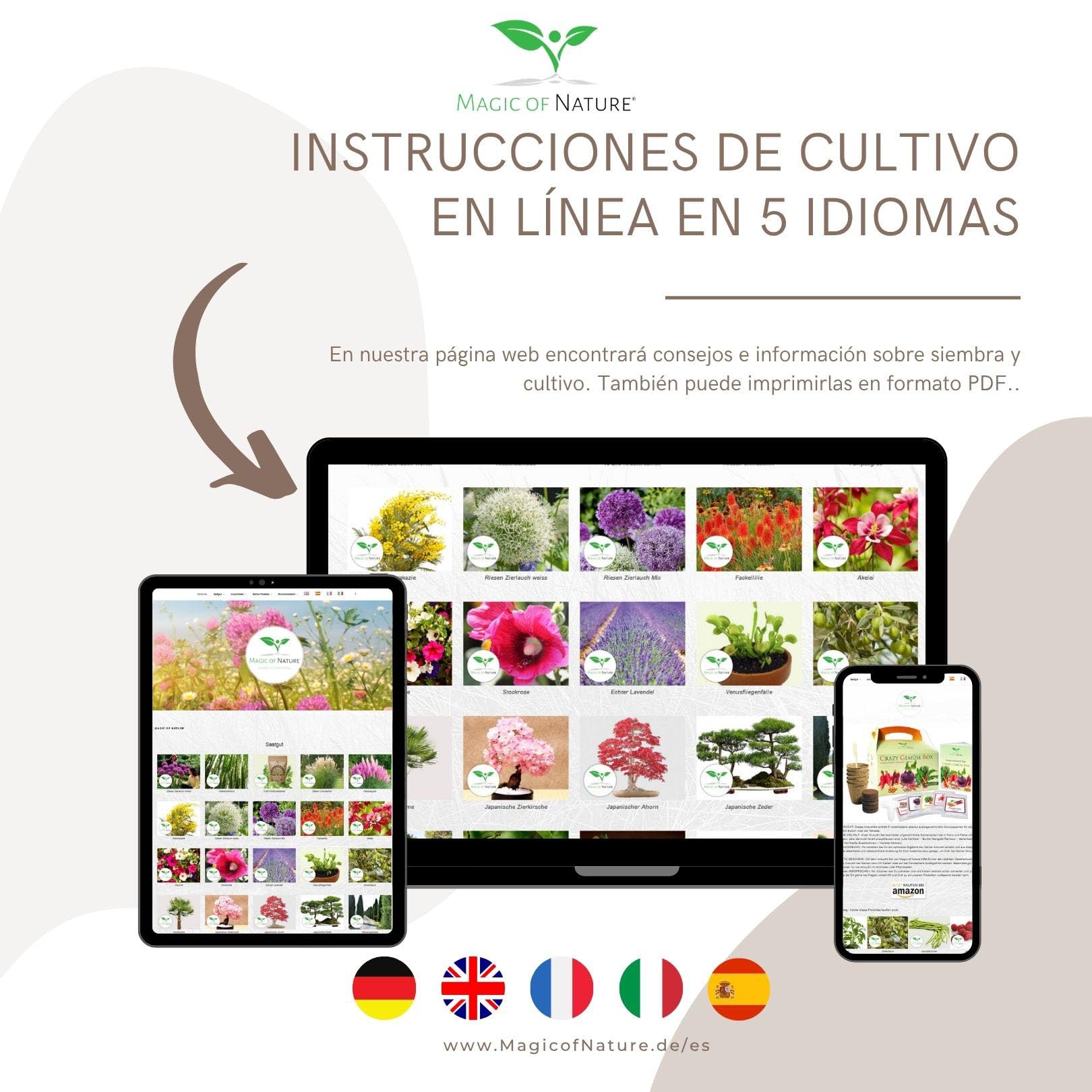 Magic of Nature Semillas de Olivo - 10 Ud. Olea europaea Olivo Mediterráneo para Jardín Balcón & Bonsái - Huesos de Árbol de Aceite Reales