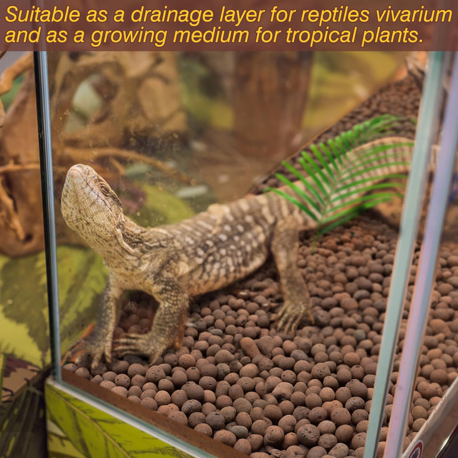 ZeeDix 2 LBS Reptile Substrate Leca Balls - 100% Organic Expanded Clay Pebbles, Ideal Bioactive Terrarium Clay Balls Substrate for Reptile Terrarium Tank, Bearded Dragon, Tortoise, Gecko, Snake & Frog - image 6