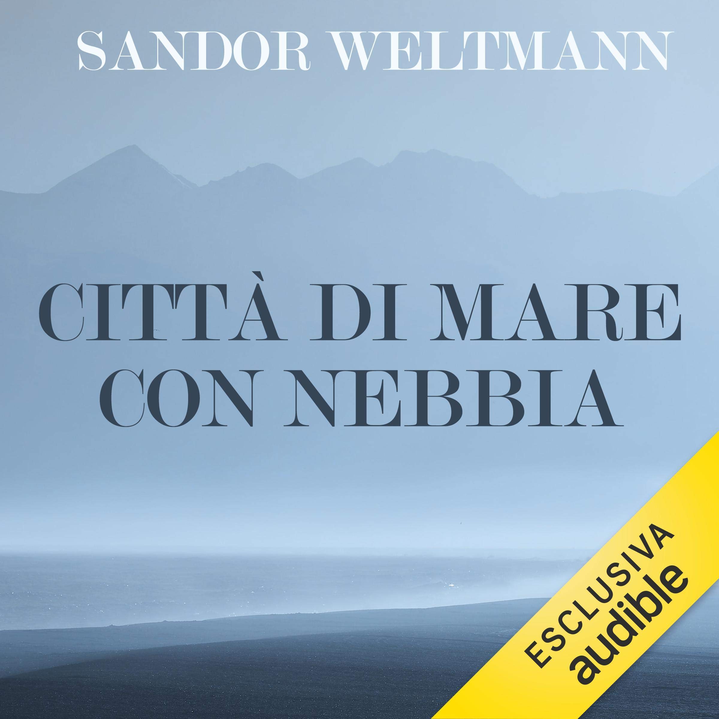 Città di mare con nebbia