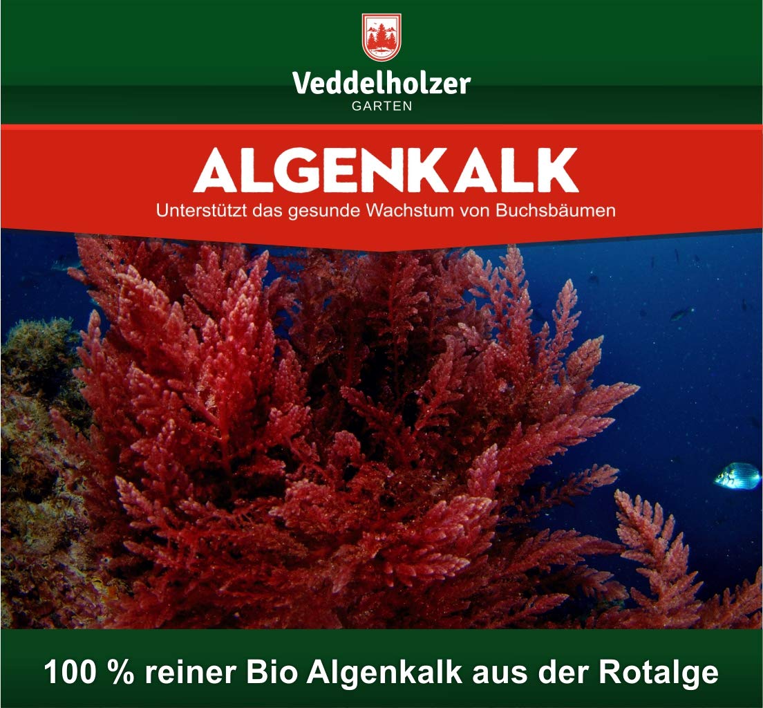 DER SIEGER 09/2020 Veddelholzer 6kg Bio Algenkalk 100% reines Pulver aus Meeresalgen stärkt Widerstandskraft & Regeneration des Buchsbaum beim Buchsbaumzünsler Buchsbaumdünger Naturdünger