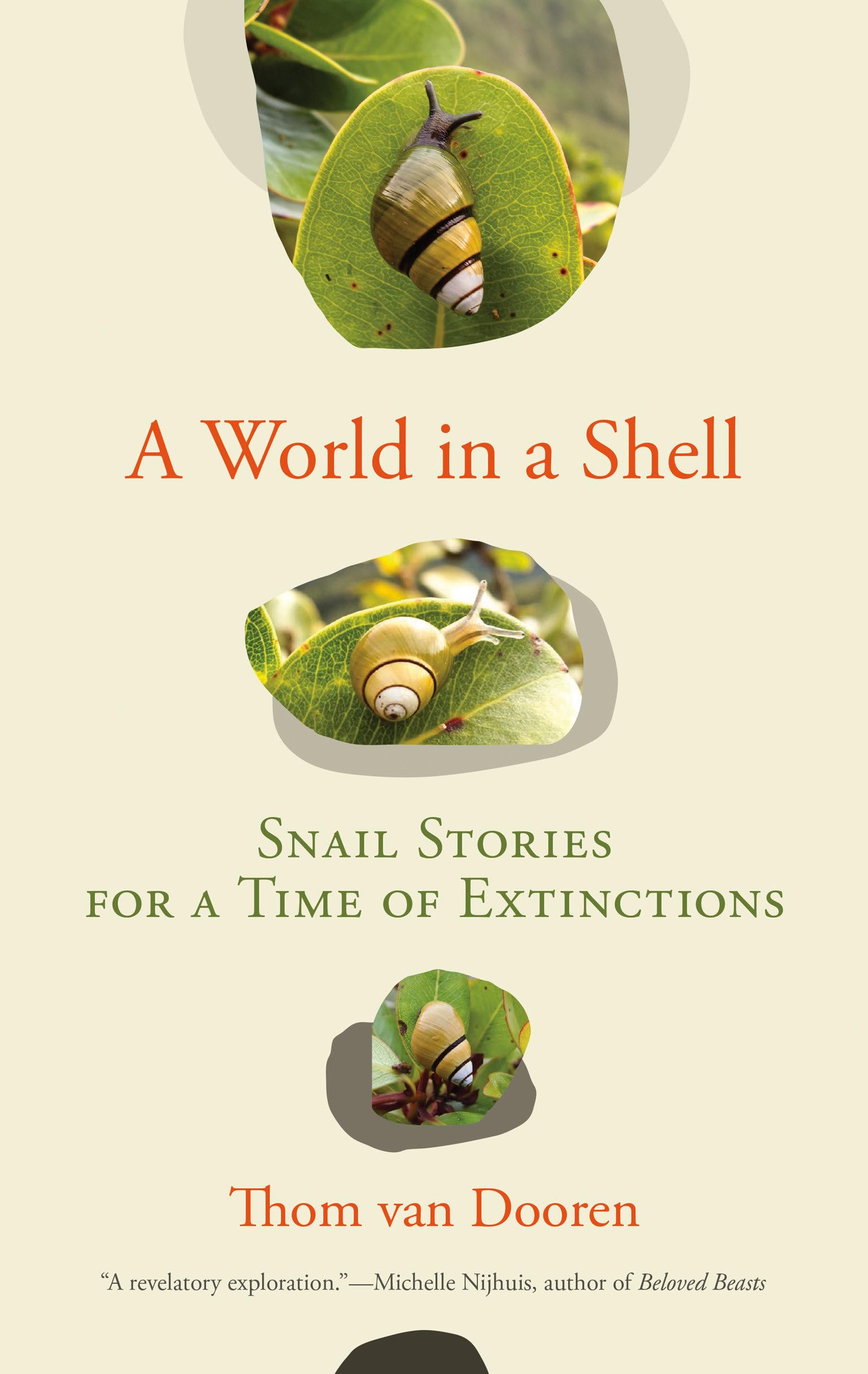 A World in a Shell by Thom van Dooren (Paperback Book)