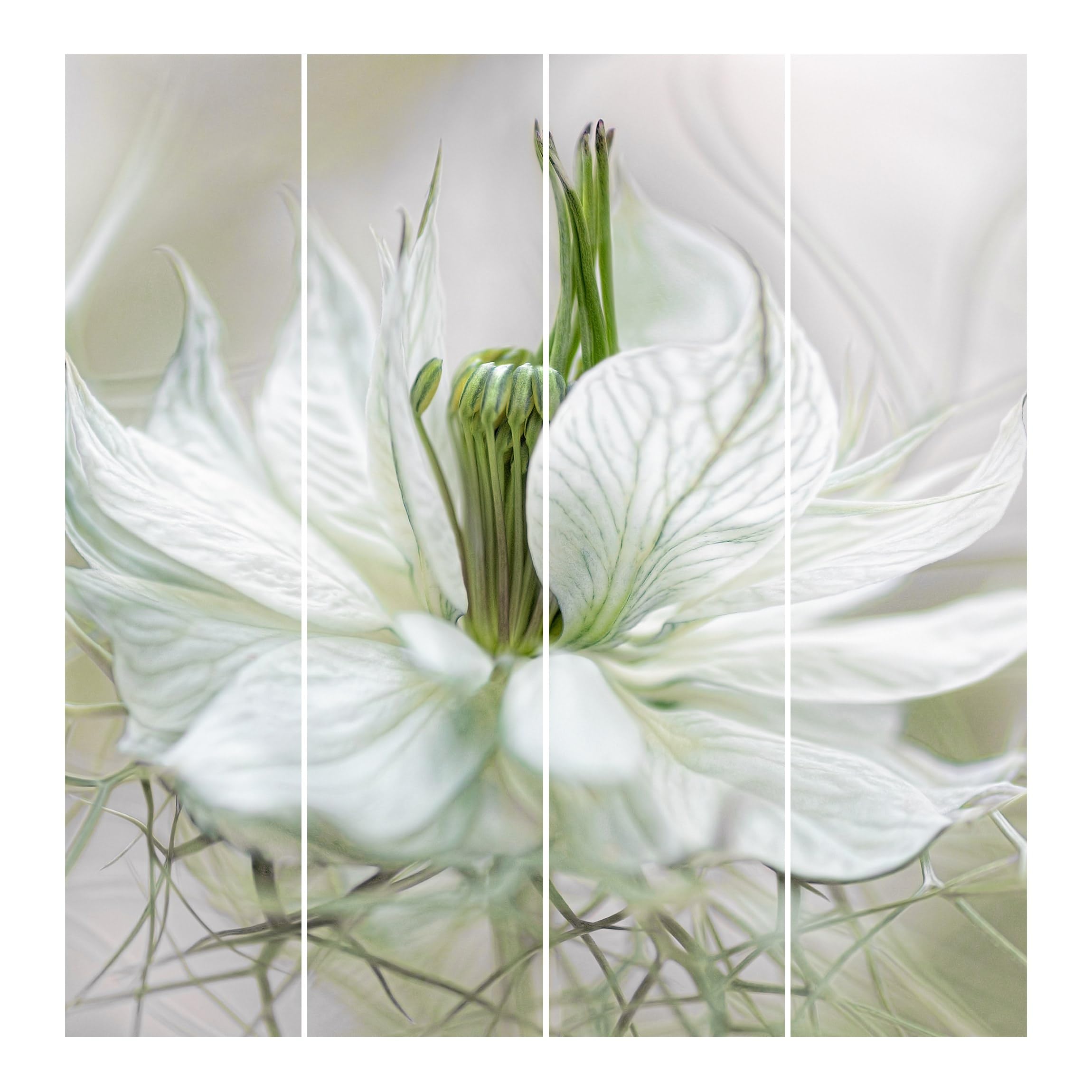 Schiebegardine halbtransparent 60er Paneel Klett Blumen Textil lichtdurchlässig - Motiv Modern Flächenvorhang Weiss Wohnzimmer Schlafzimmer 1758 (240x250 cm - 4er Set)