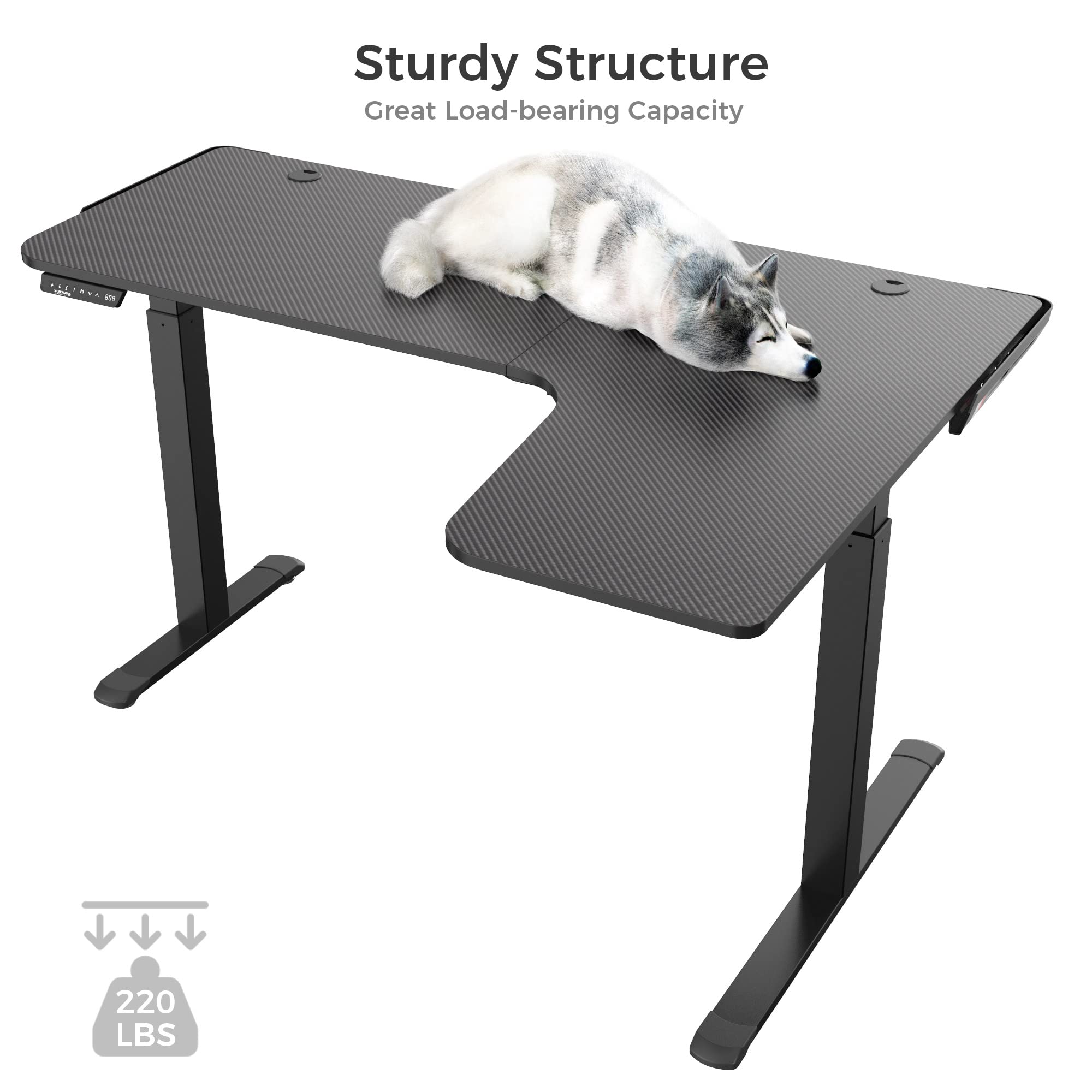 DESIGNA 61 Inches L Shaped Standing Desk, Electric Height Adjustable