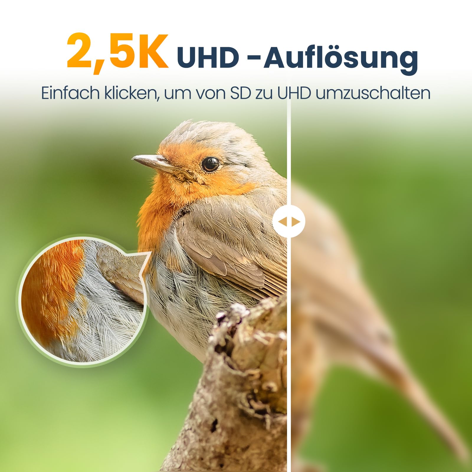 Intelligenter vogelhaus mit Kamera, 2,5K-UHD-Kamera, solarbetrieben, präzise KI-Erkennung, sofortige Benachrichtigungen und Videoaufzeichnung, wasserdicht nach IP66 für den Außenbereich, Metal Blau