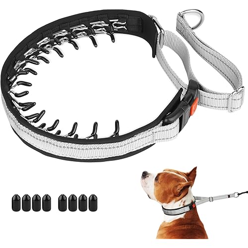 Mayerzon Martingale No Pull Collar for Medium Large Dogs, Patented Anti Pull Dog Collar with Buckle for Walking Training, with Neoprene Padding and Reflective Stitching, Adjustable(Grey, M)