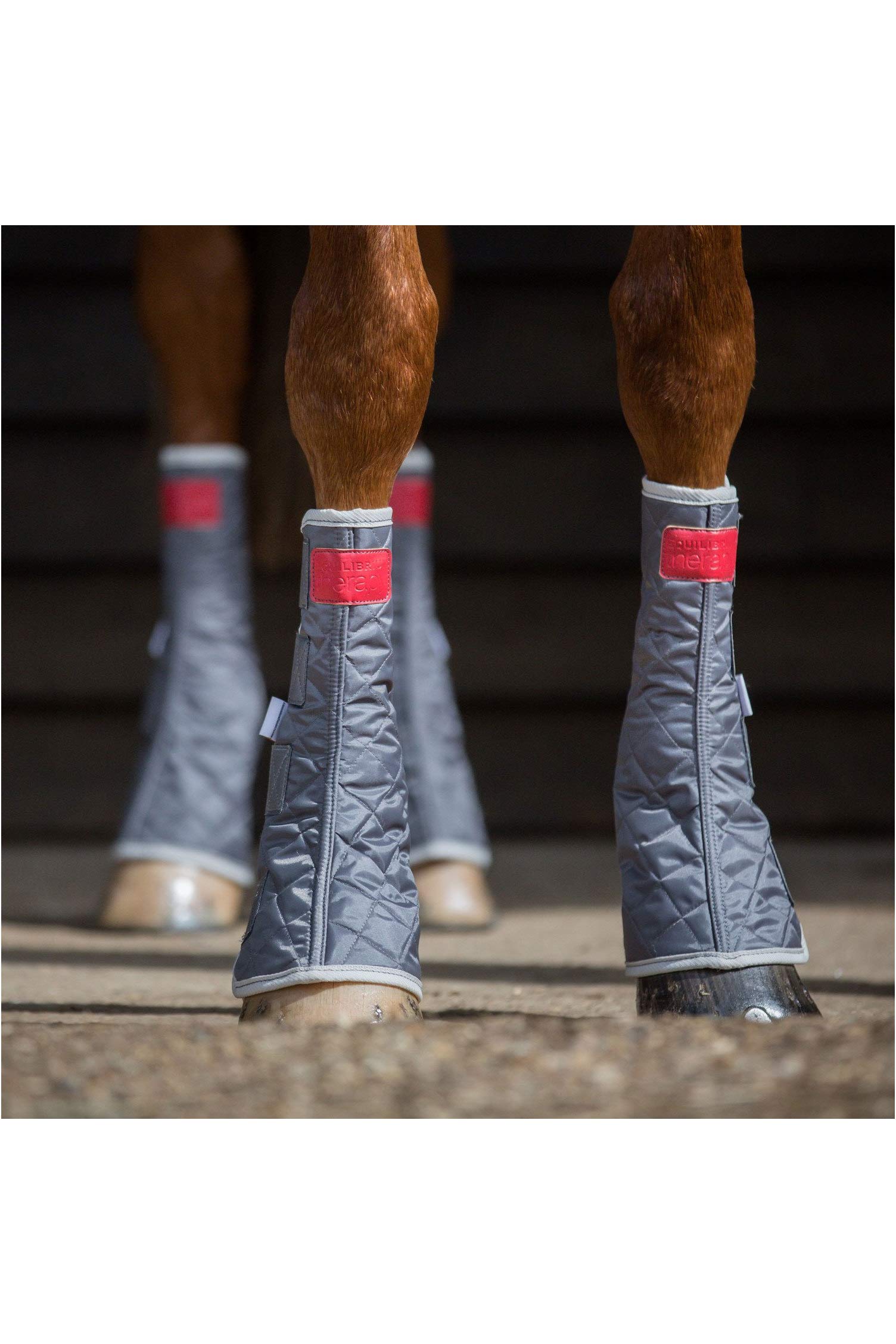 equilibrium Therapy Magnetic Chaps - Large