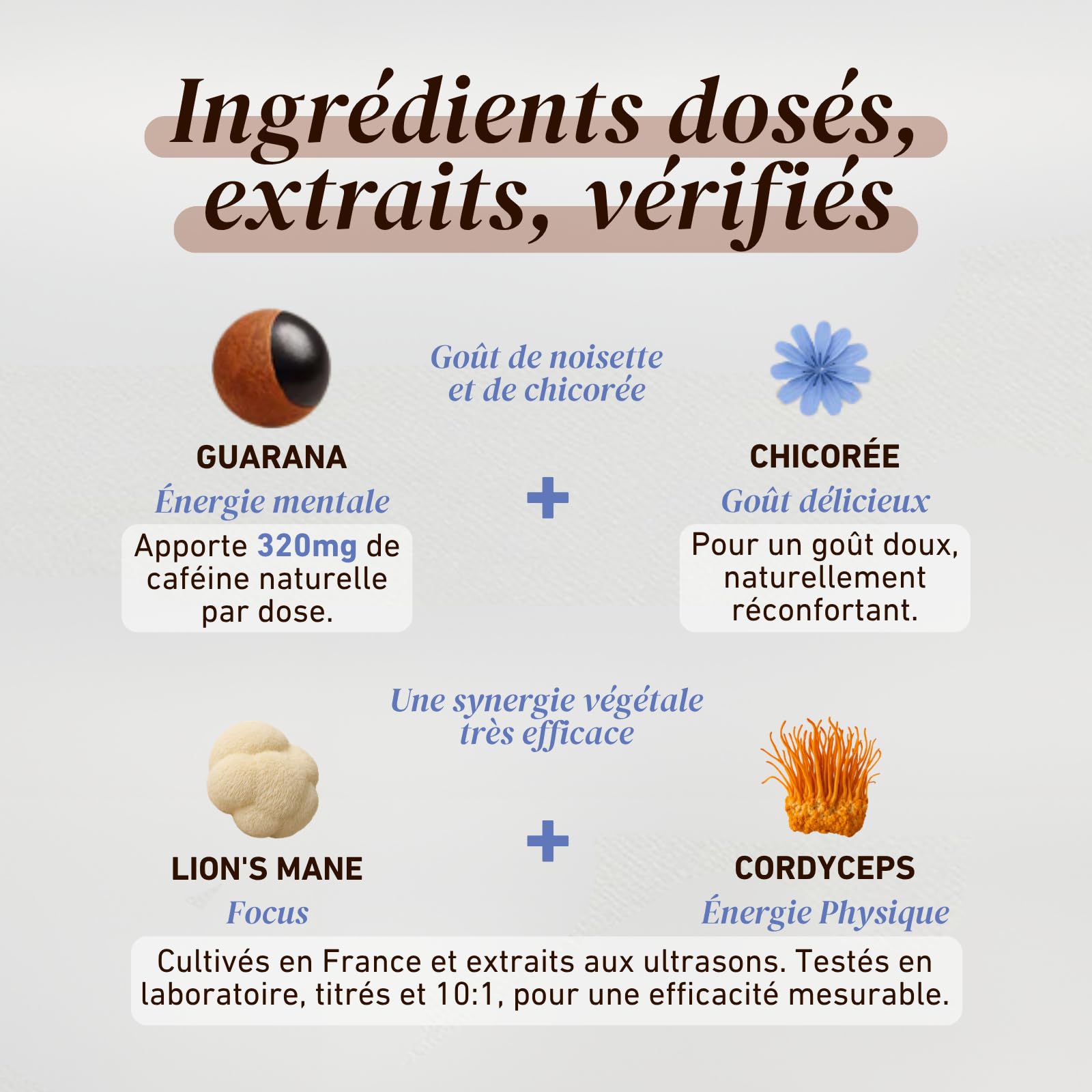 French Mush BOOST - Alternative Café aux Champignons Adaptogènes Bio : Lion’s Mane & Cordyceps - Focus, Énergie & Digestion - Alternative Végétale au Café Soluble - Fabriqué en France - 20 Doses