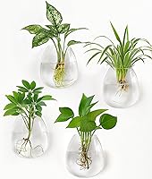 Dahey 4-Pack Glass Wall Hanging Propagation Stations - Oblate Terrariums for Hydroponics, Succulents, Flowers & Indoor Plant Decor 4.7"W x 5.1"H
