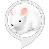 バレーウサギちゃんの英単語