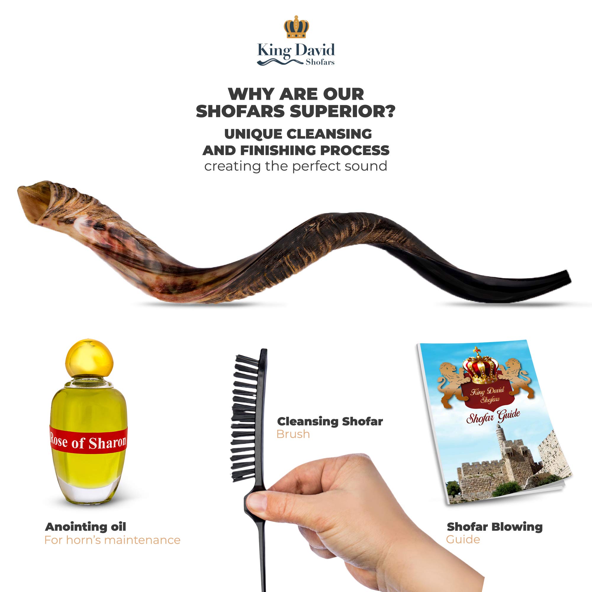 Shofar Horn Instrument Shofar Angels Musical Instrument Horn Gift
