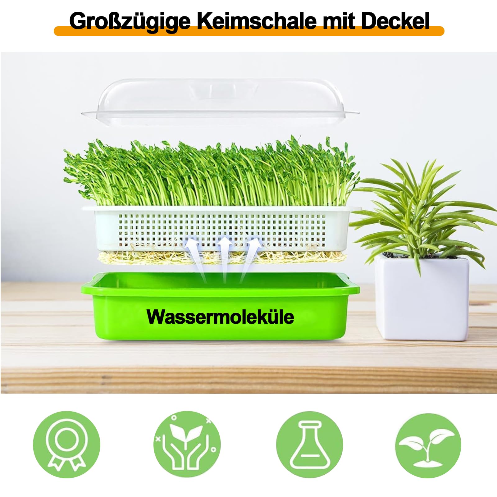 Vassoio Per Germinazione Idroponica – PP, Con Fori, Per Germogli Di Soia, Erba Di Grano E Microverdure, Senza Terreno, Per Giardini Interni