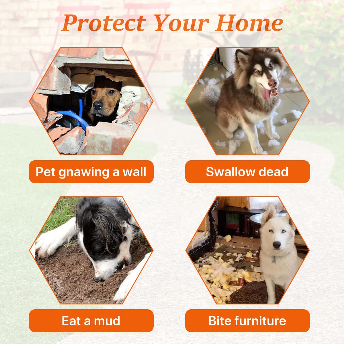 Best Hunting Dog Kennel Ruff Land Kennel Review