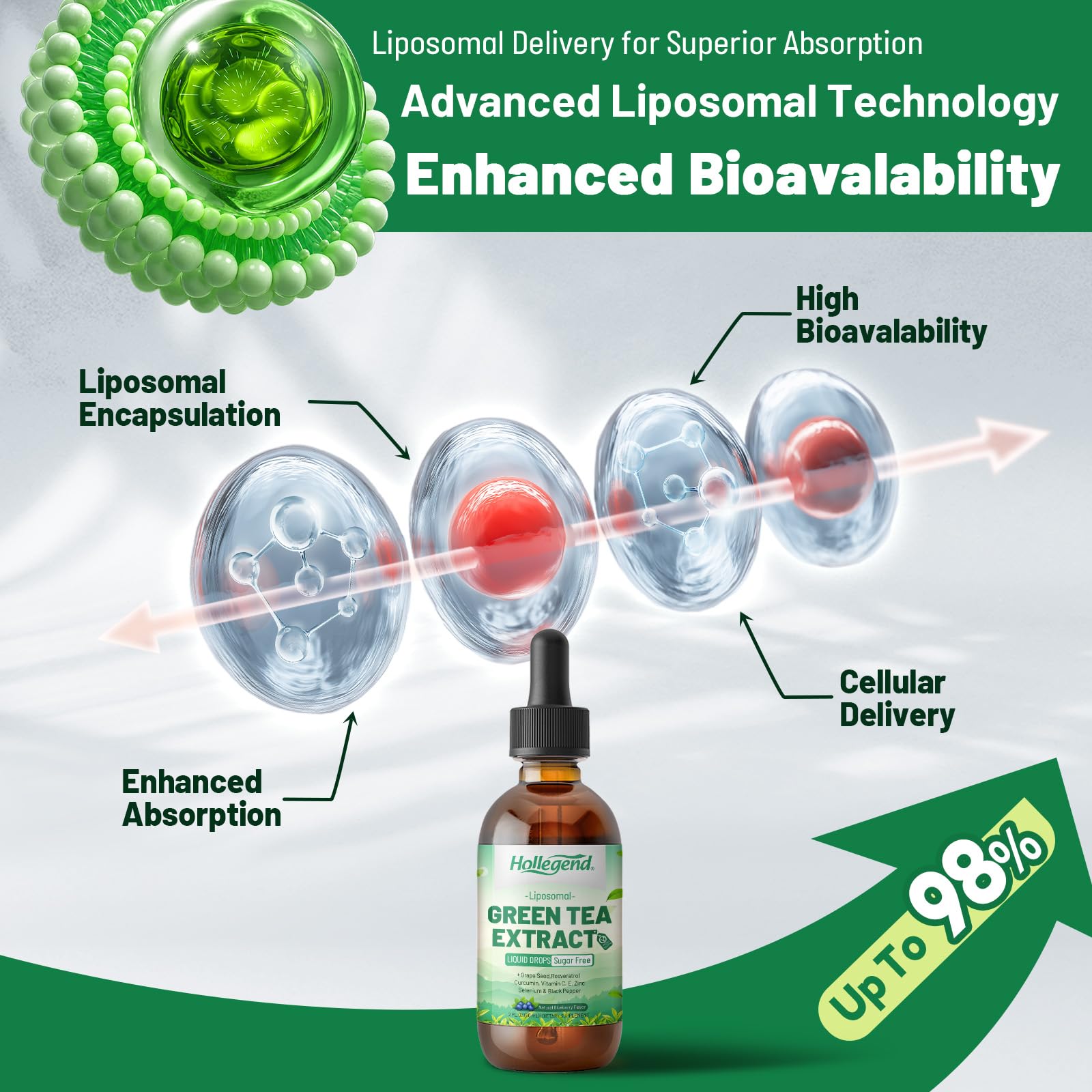 Liposomal Green Tea Extract Liquid, Organic Green Tea Supplement — Amazon image 5