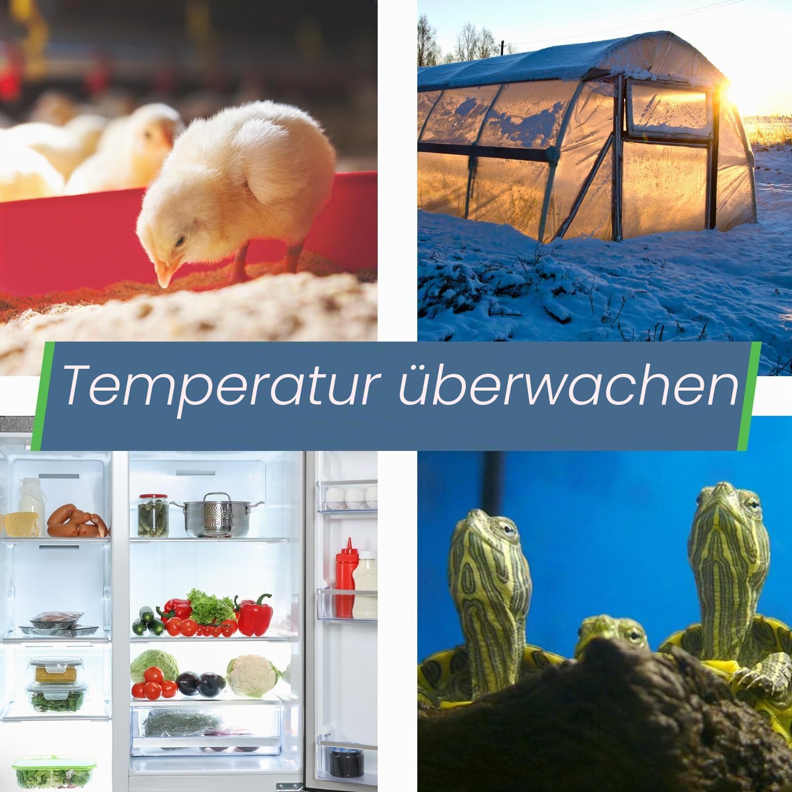 SensorPush HTP.xw Kabelloses Thermometer/Hygrometer/Barometer, extreme Genauigkeit, wasserdicht für iPhone/Android – Smart Sensor mit Warnfunktion für Luftfeuchtigkeit/Temperatur/Druck