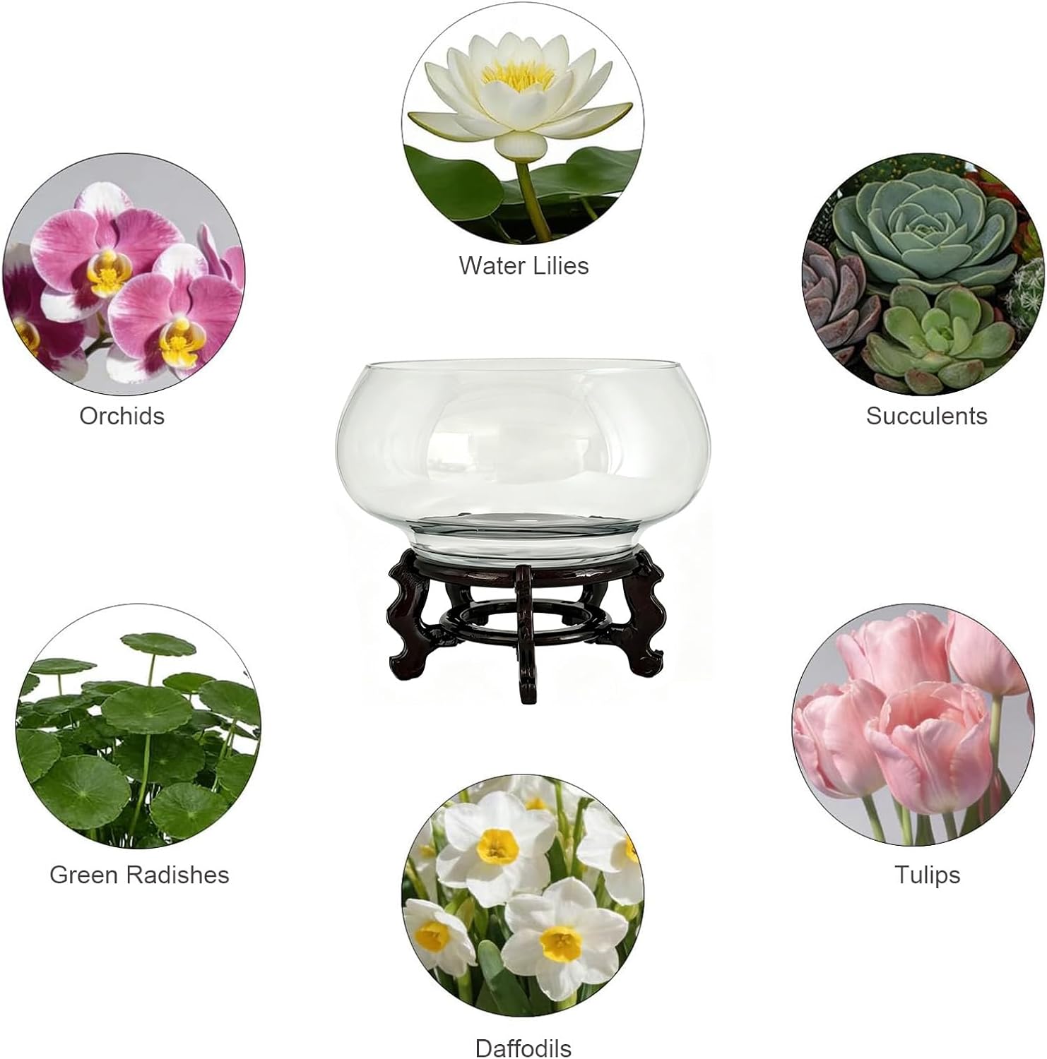 10-Inches Large Lotus Bowl Planter Clear Glass Lotus Flower Succulent Bowl Indoor Hydroponic Aquatic Plant Bonsai Terrarium Table Centerpiece Lotus Pot Can Double As a Fish Tank (Large)