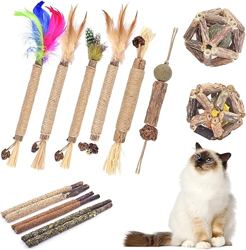 TINDTOP Juguetes masticables para gatos, paquete de 12 palitos masticables Silvervine con 2 bolas de jaula para limpieza de dientes de gatitos,