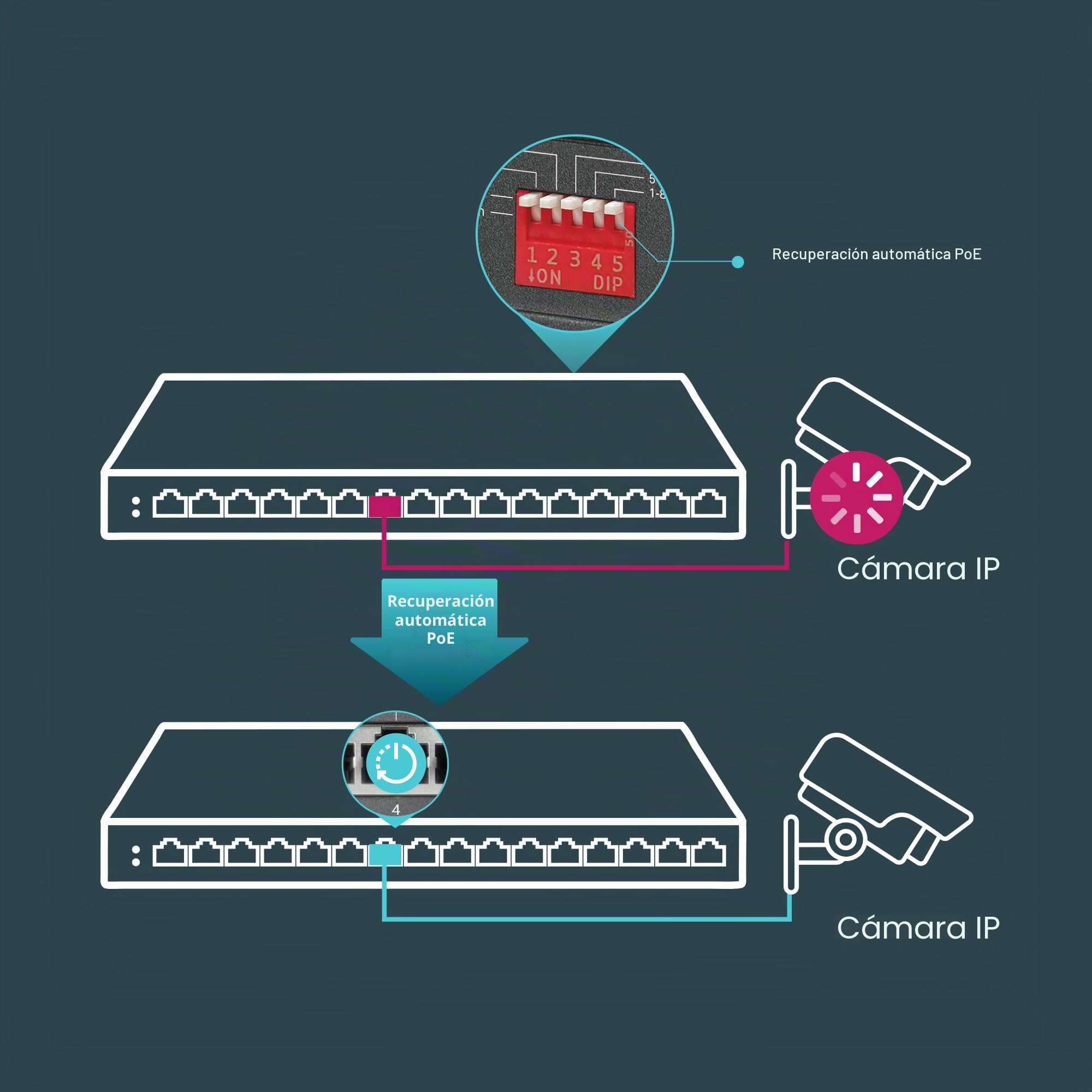 TP-Link TL-SG116P switch No administrado Gigabit Ethernet (10/100/1000) Energía sobre Ethernet (PoE) Negro