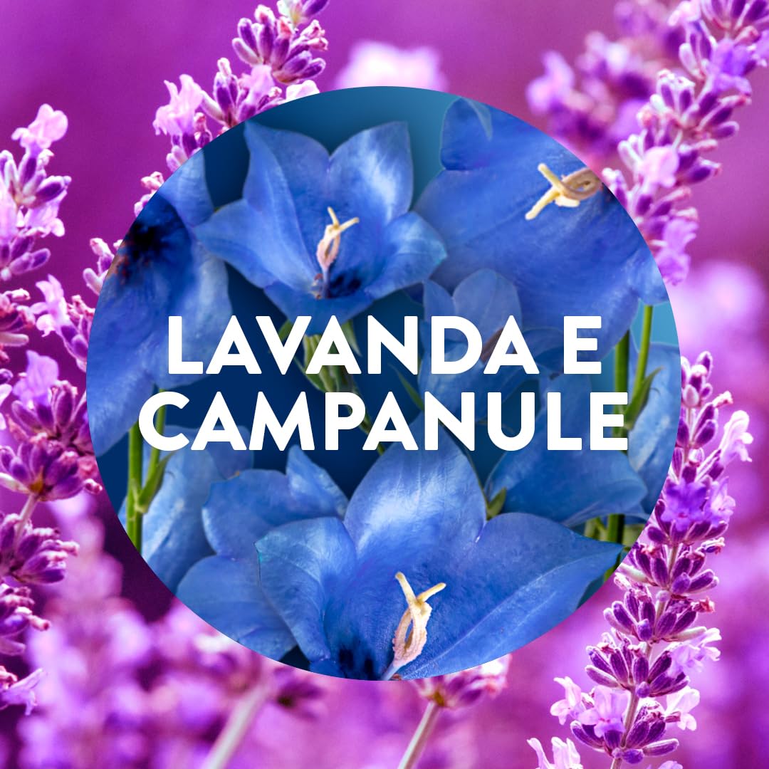 Air Wick Diffusore Elettrico di Oli Essenziali, 6 Ricariche per Diffusore alla Fragranza Lavanda e Campanule, Profumatore per Ambienti Elettrico con Oli Essenziali