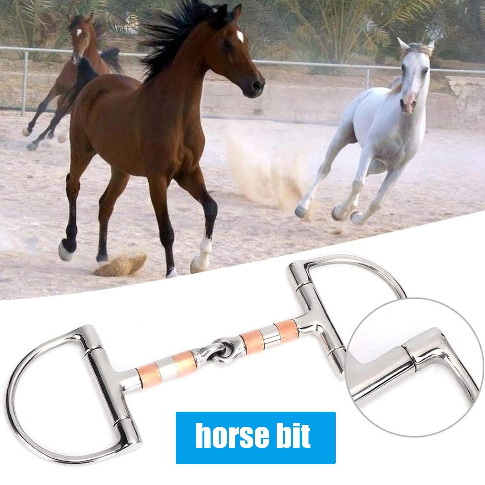 D Punta de pico de caballo de acero inoxidable, taladro de boca de cobre con una articulación, punta de pico profesional en D para entrenamiento y conducción
