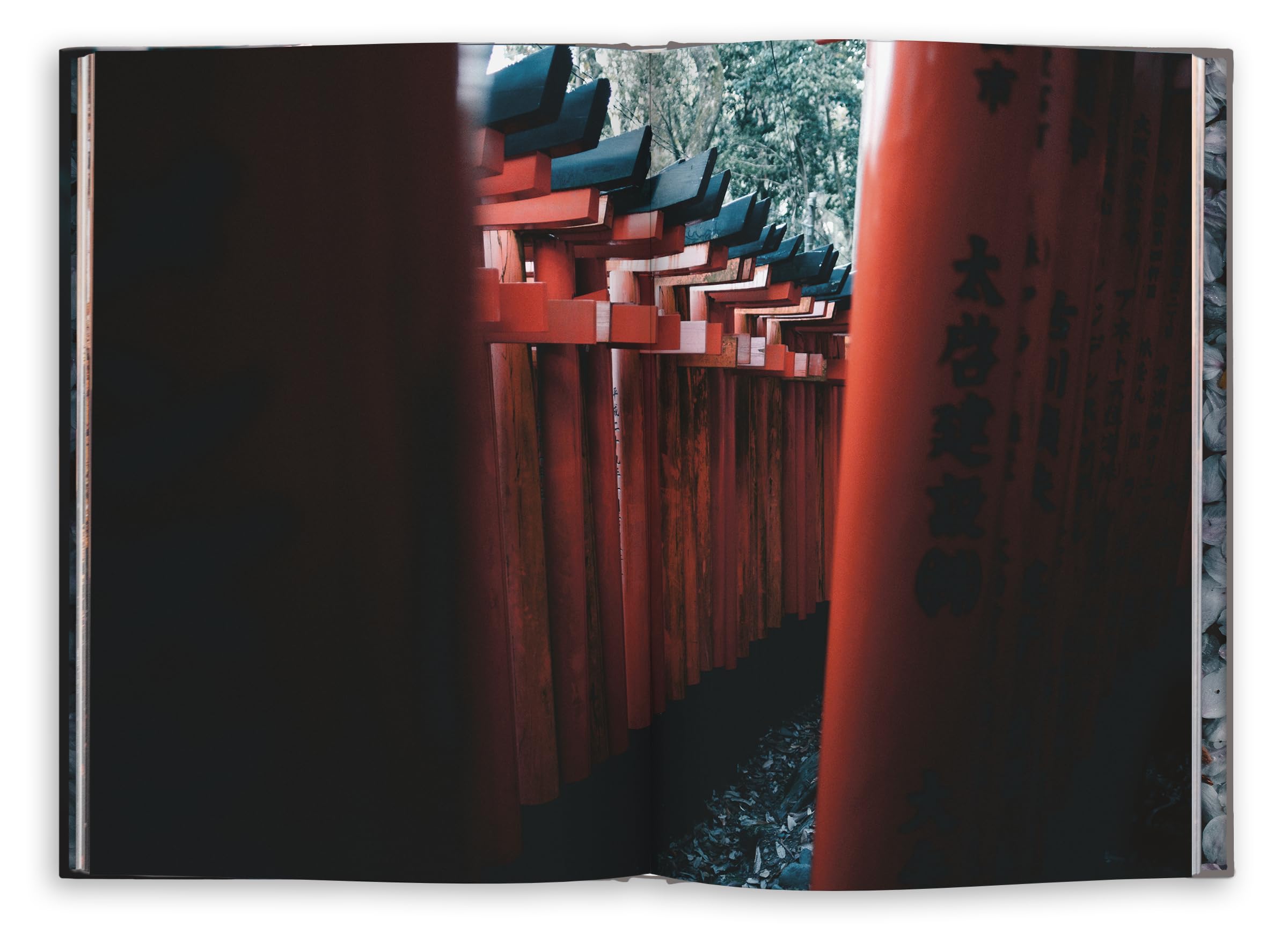 Kyoto Dreaming