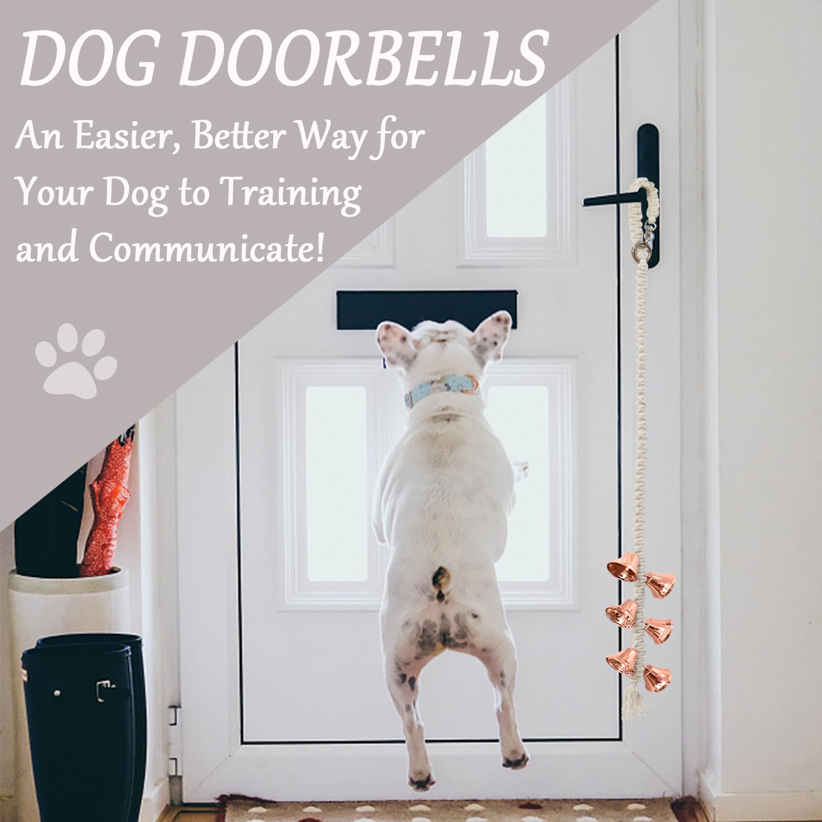 Door How To Train Your Dog From Barking Door Bells How To Get Dog