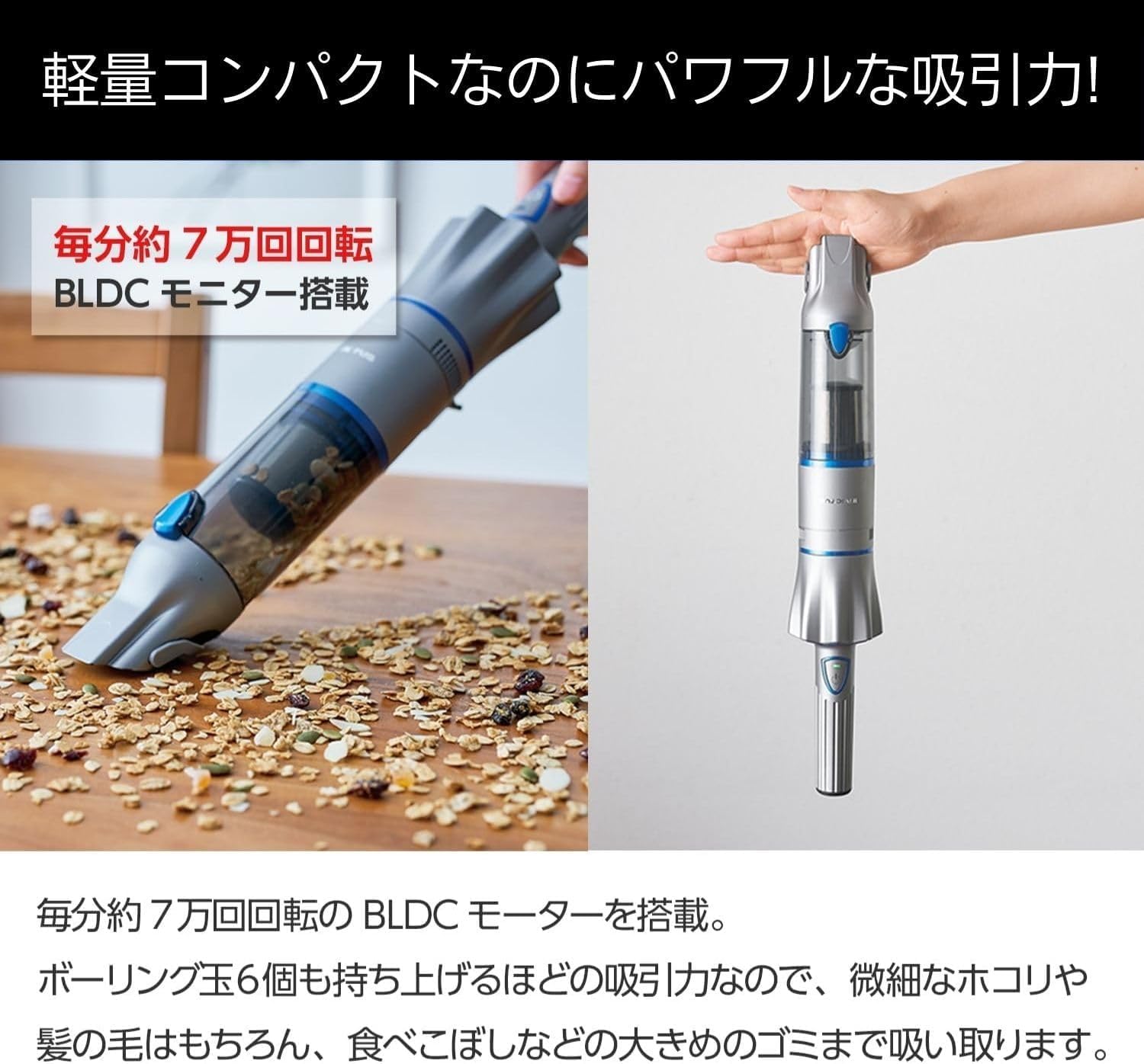 Amazon.co.jp : 【公式】Shop Japan(ショップジャパン) インビクタス 