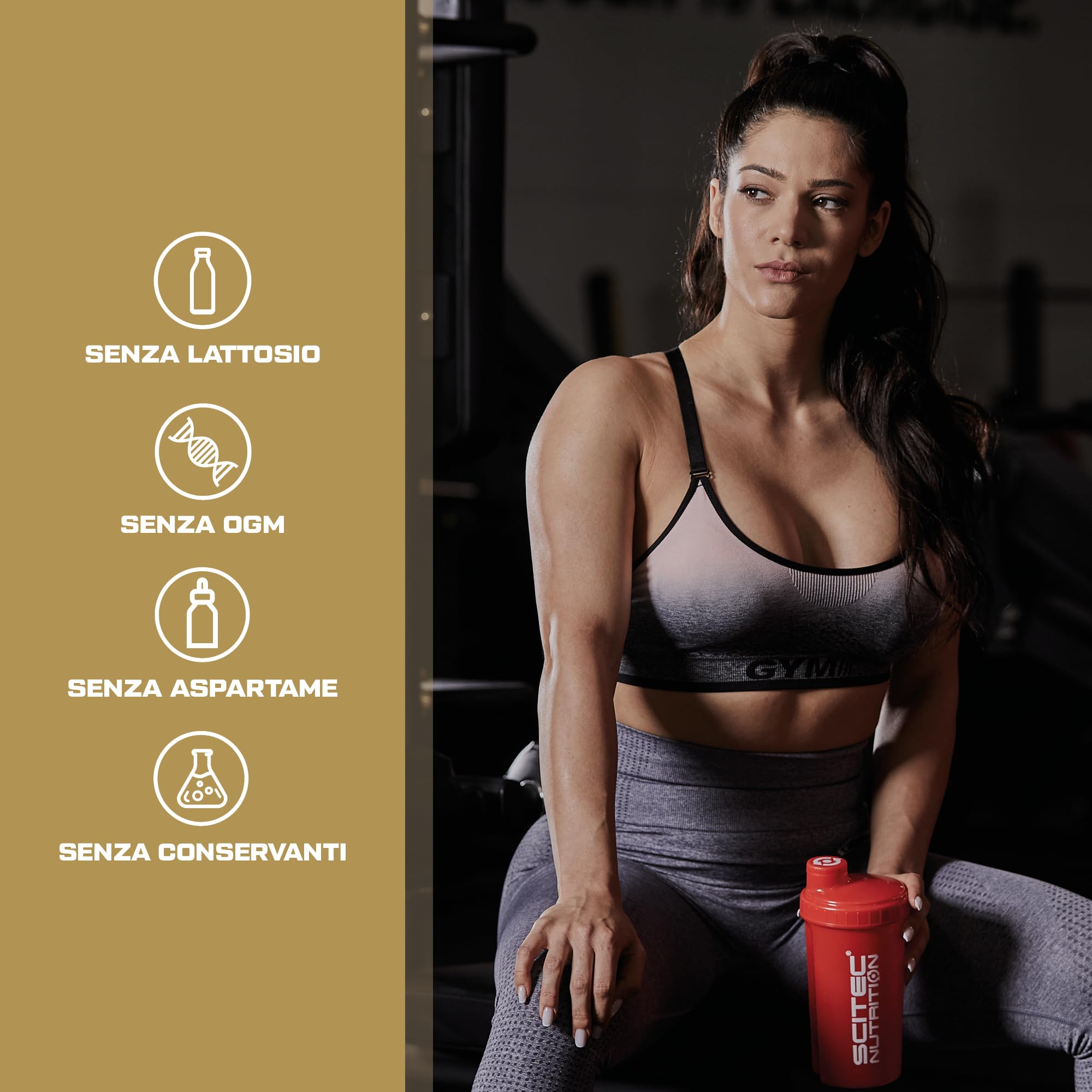 Scitec Nutrition Hyper Carnitine - 1000 mg di Acetil L-Carnitina per un'integrazione attiva di L-Carnitina, 120 Capsule