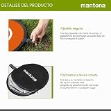 Ver la foto 6
