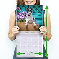 Vista 443 de Razas de Perros 2017