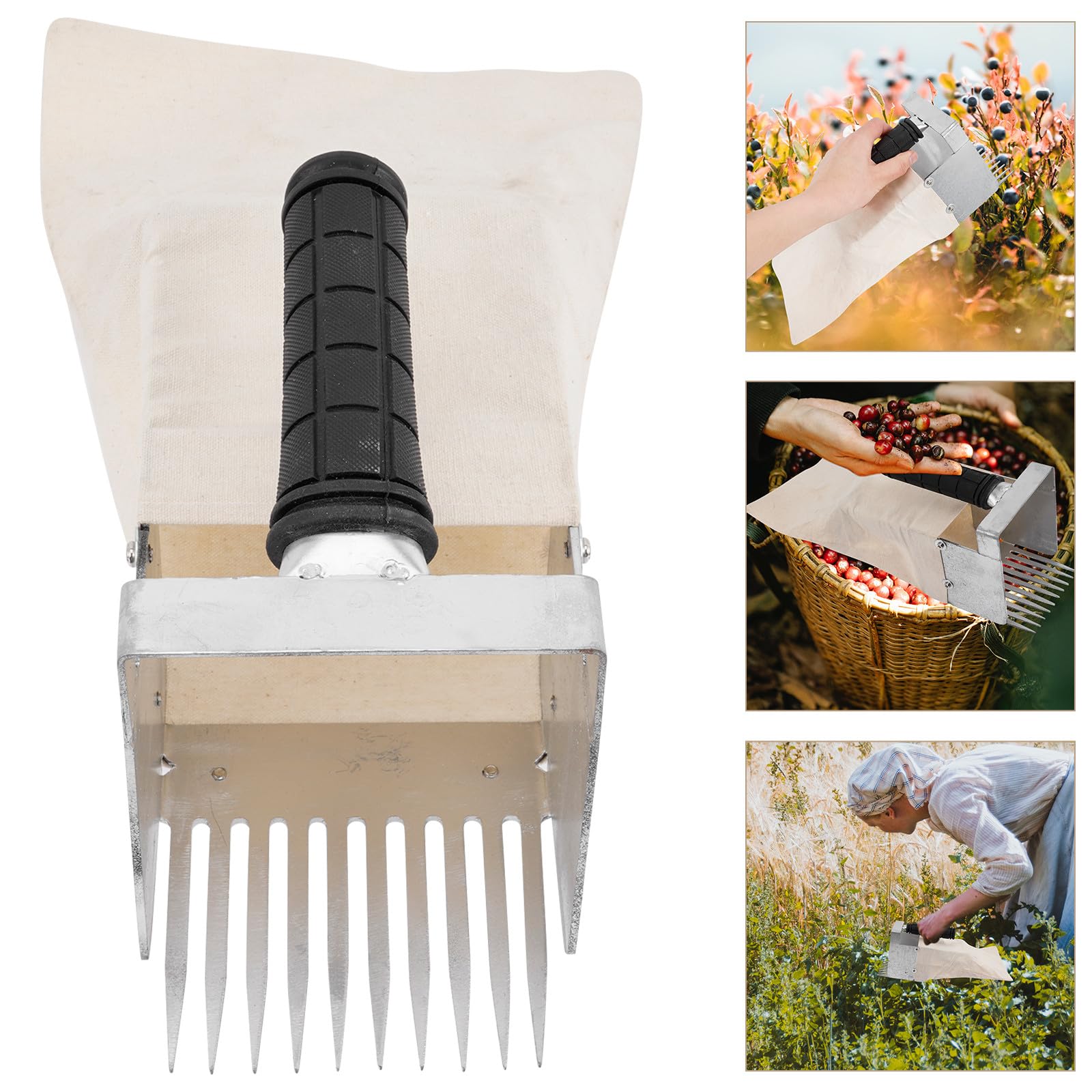 Mikikit Herramienta para Cosechar Arándanos Mango Ergonómico, Pala Dentada y Cesta Recolectora, Adecuado para Jardín y Huerto Color Aleatorio