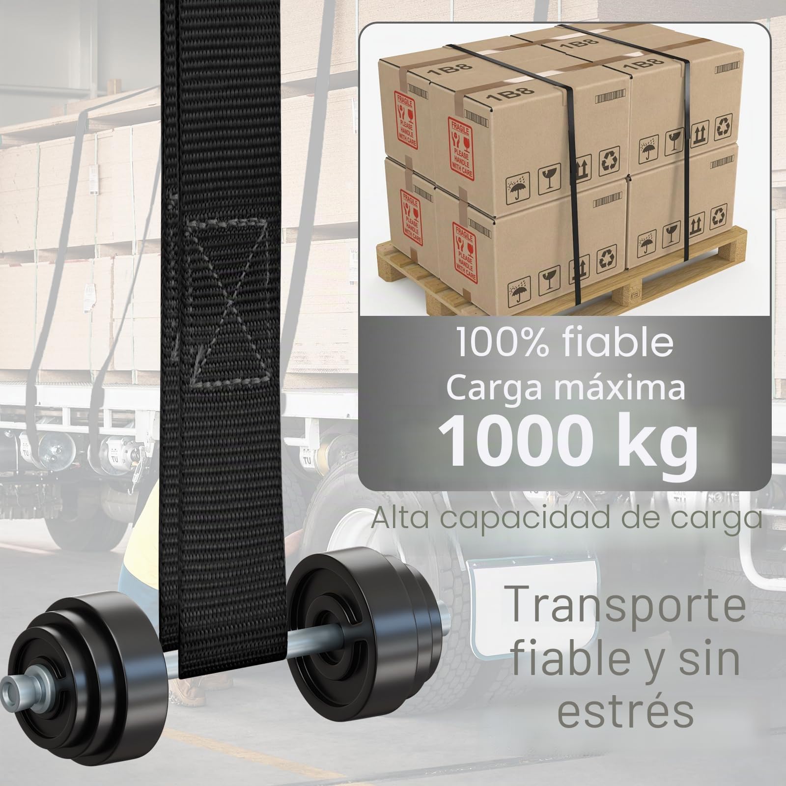 Tapvai Juego de 5 correas tensoras con trinquete, correas de amarre ajustables con cierre de sujeción, soporta hasta 1000 kg, correas de amarre muy robustas, adecuadas para cargas fijas (2.5 cm x 4 m)