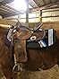 Kentucky Horsewear Zadeldekje Wave 3D Logo Wit