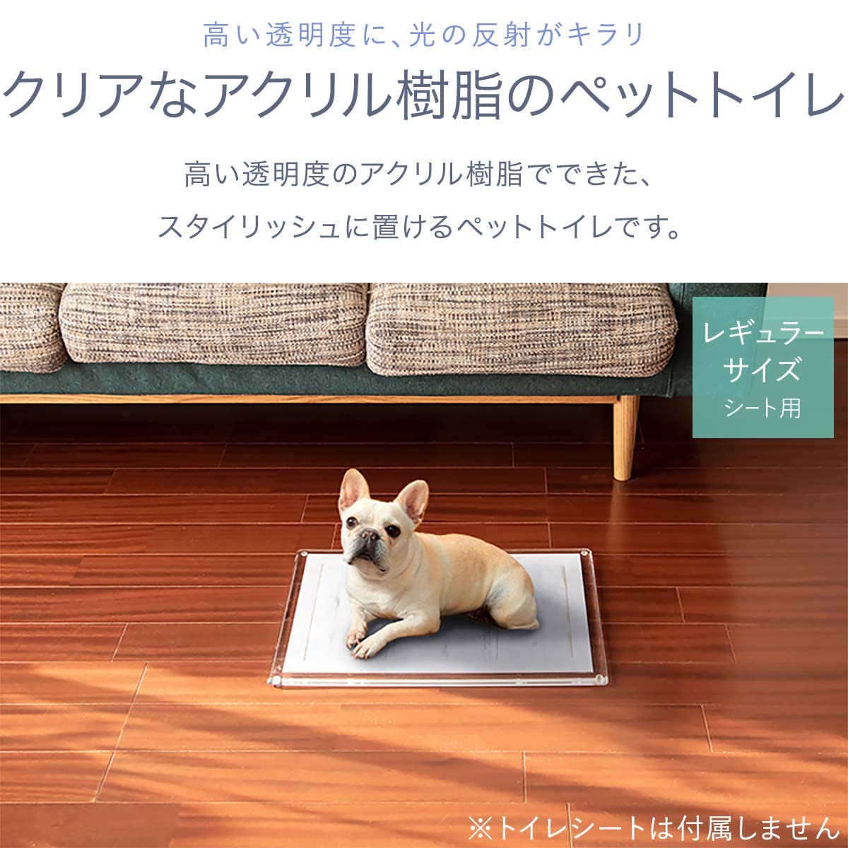 Amazon | ottostyle.jp アクリル トイレトレー 犬 滑り止め付 ずれない