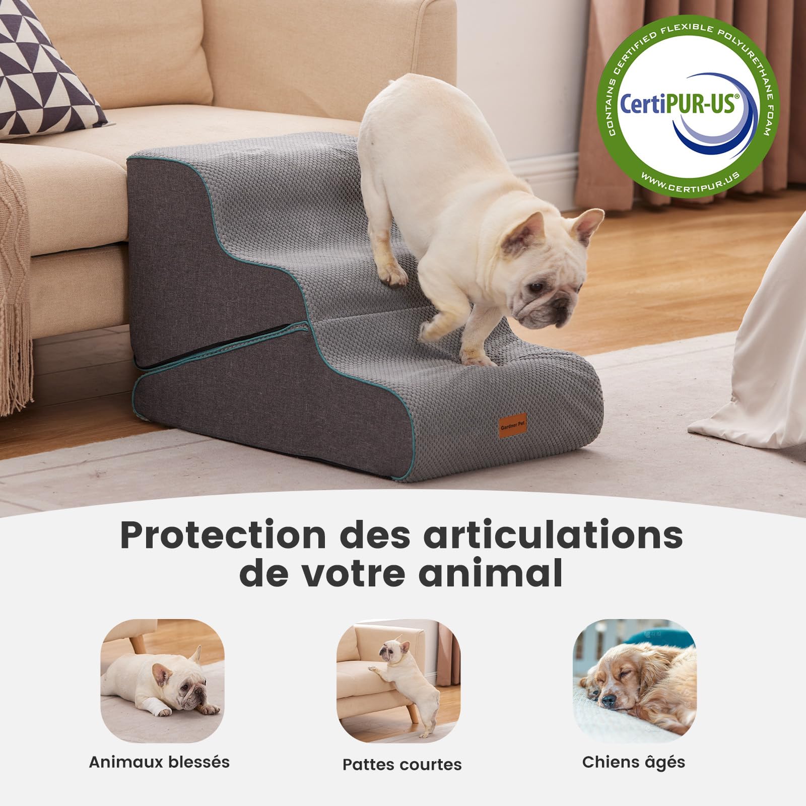 Gardner Pet Escaliers pour Chiens 2 en 1 3 Marches Éponge Haute Densité 35cm 42cm Antidérapant Gris