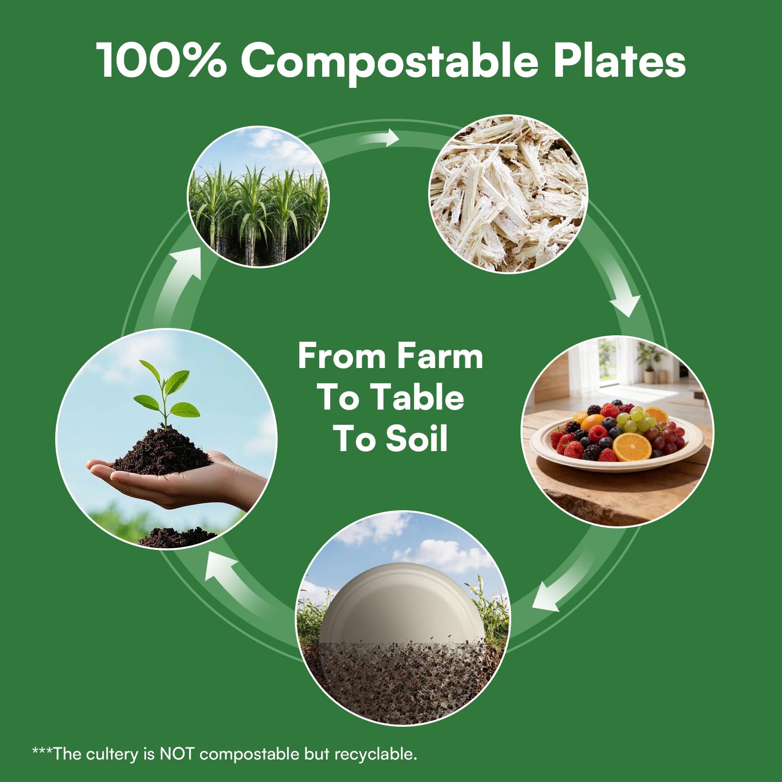Finepak Compostable Paper Plates 9 Inch，Heavy Duty Paper Plates 100 Pack, Disposable Plates Biodegradable Dinnerware for Everyday Use, Party, Family (Microwave Safe) - 3