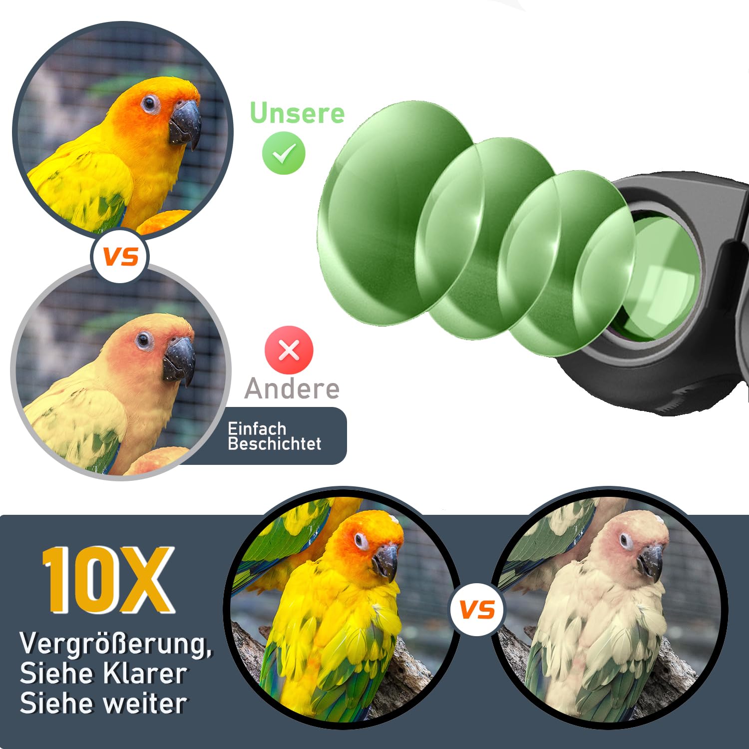 Fernglas 10x25 – Kompakt, Wasserdicht, Für Vogelbeobachtung & Reisen – Leichtes HD-Fernglas Für Erwachsene & Kinder