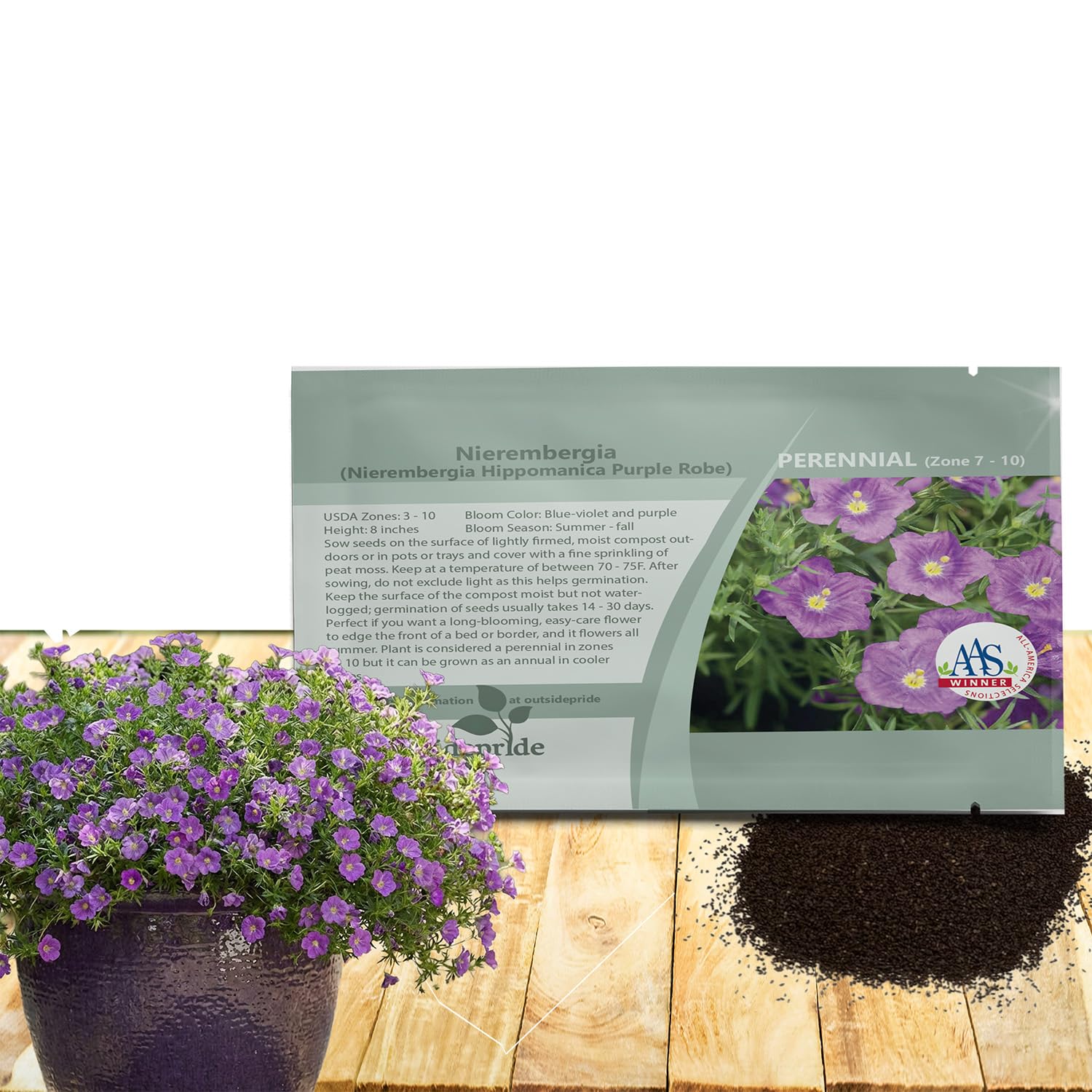 Amazon.com: Outsidepride Purple Robe Nierembergia Seeds - 10000