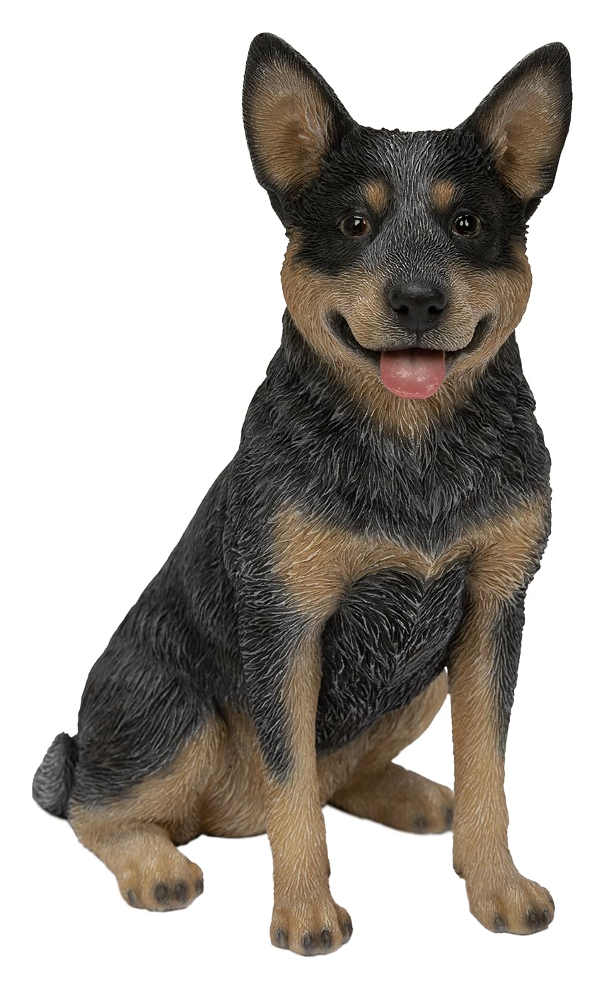 Vivid Arts Blue Heeler Dog Ornament – Realistic Australian Cattle Dog Garden Decoration | Indoor & Outdoor Décor