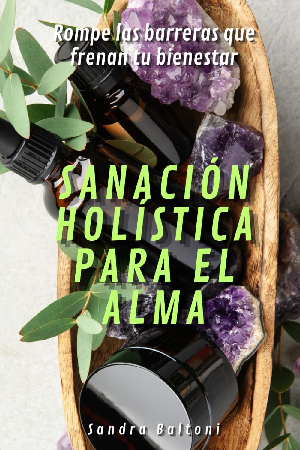 Sanación holística para el alma: Rompe las barreras que frenan tu bienestar