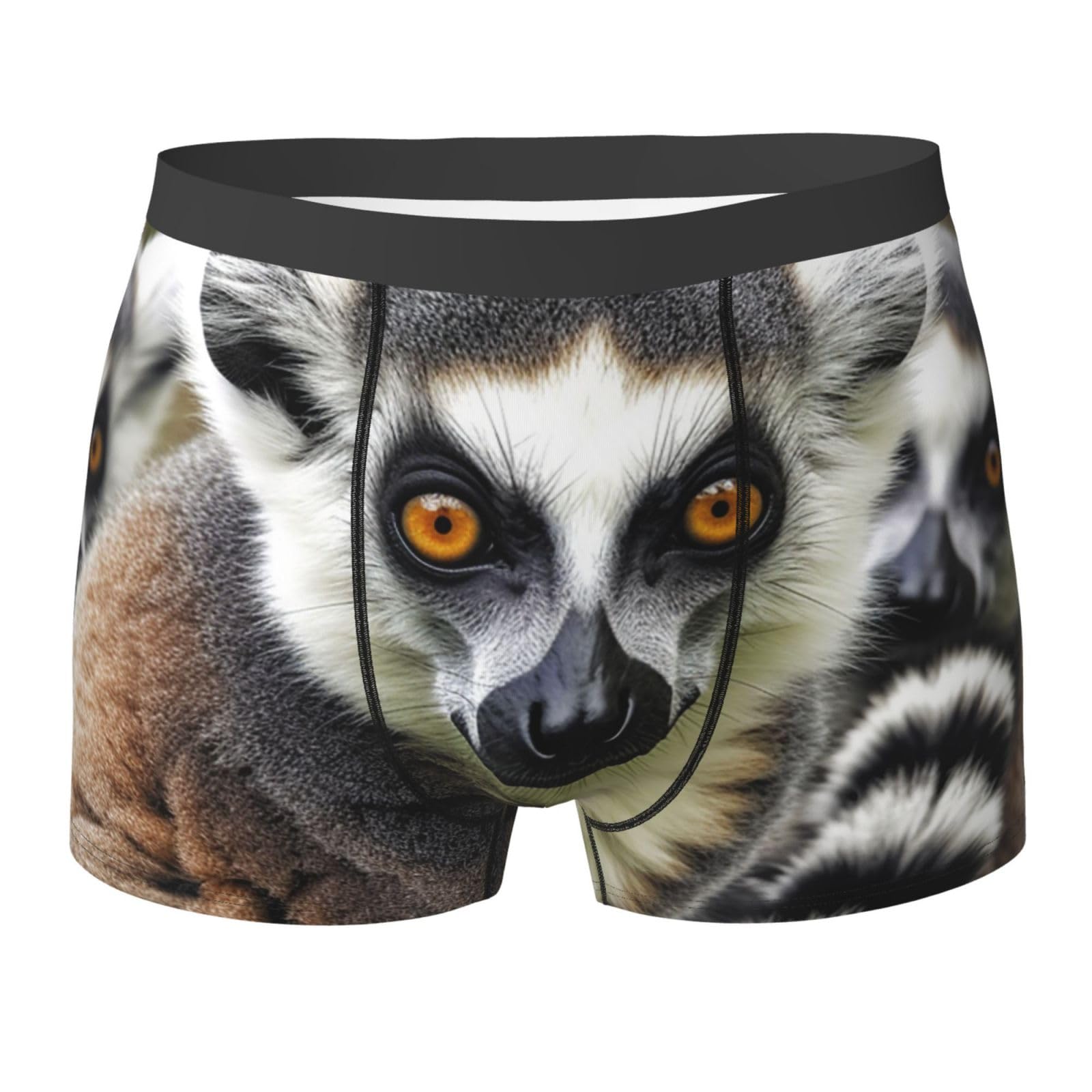Anceky Men's As Pic Underwear Boxer Briefs Soft Stretch Boxer Briefs Breathable Animals Lemur Pattern Boxers With Contour Pouch