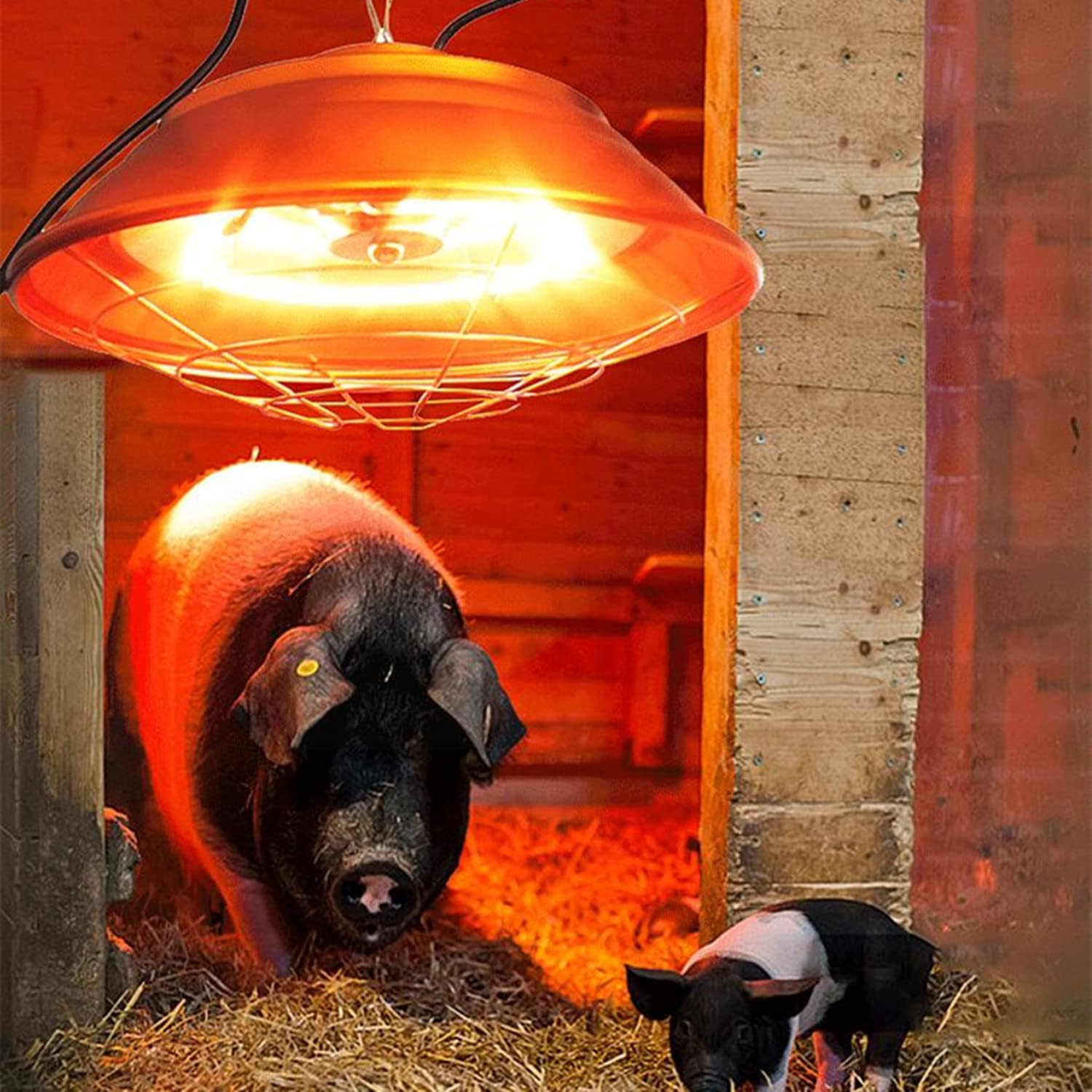 Chicken Coop Heater, 220V Infrared Heat Emitter Brooder Coop Pet Warmer