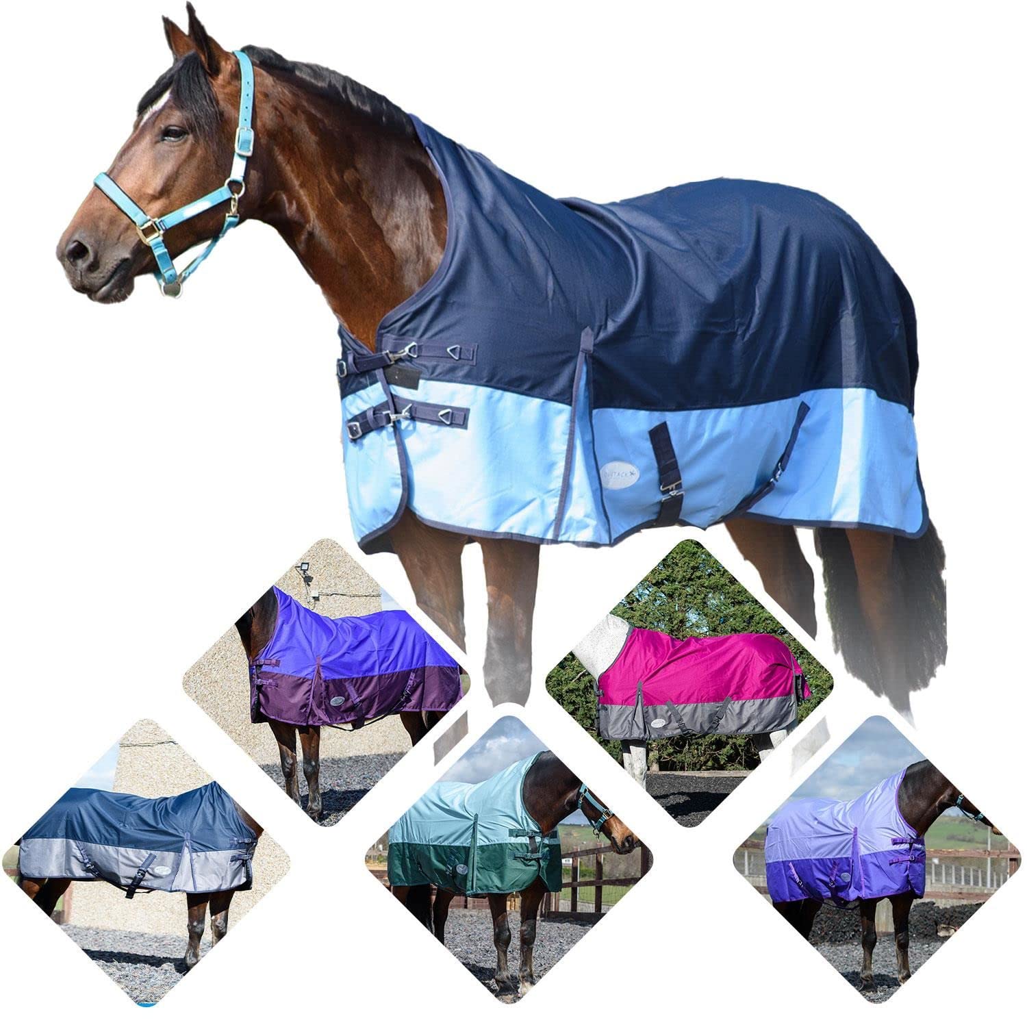 600 Denier Lightweight Turnout Horse Rugs | Half Neck Twin Breast Fastenings | 0gsm No Fill | Adjustable Leg Straps Large Tail Flap Rugs for Horse Navy/Baby Blue 6'6"