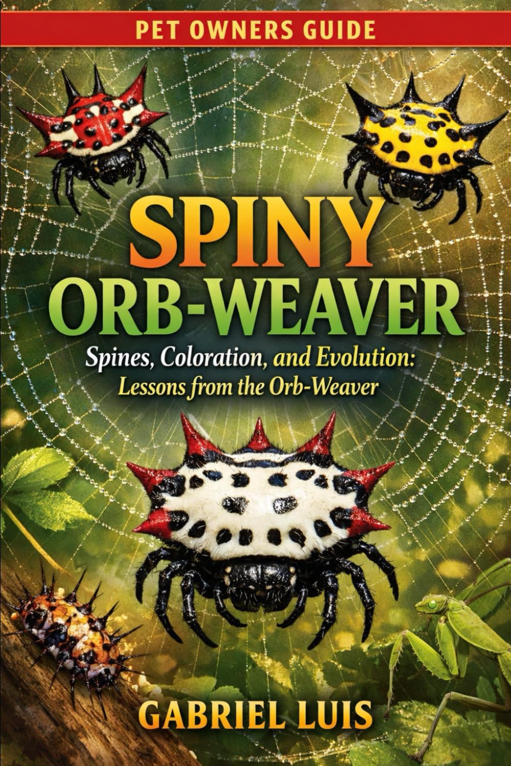 SPINY ORB-WEAVER: Spines, Coloration, and Evolution: Lessons from the Orb-Weaver.