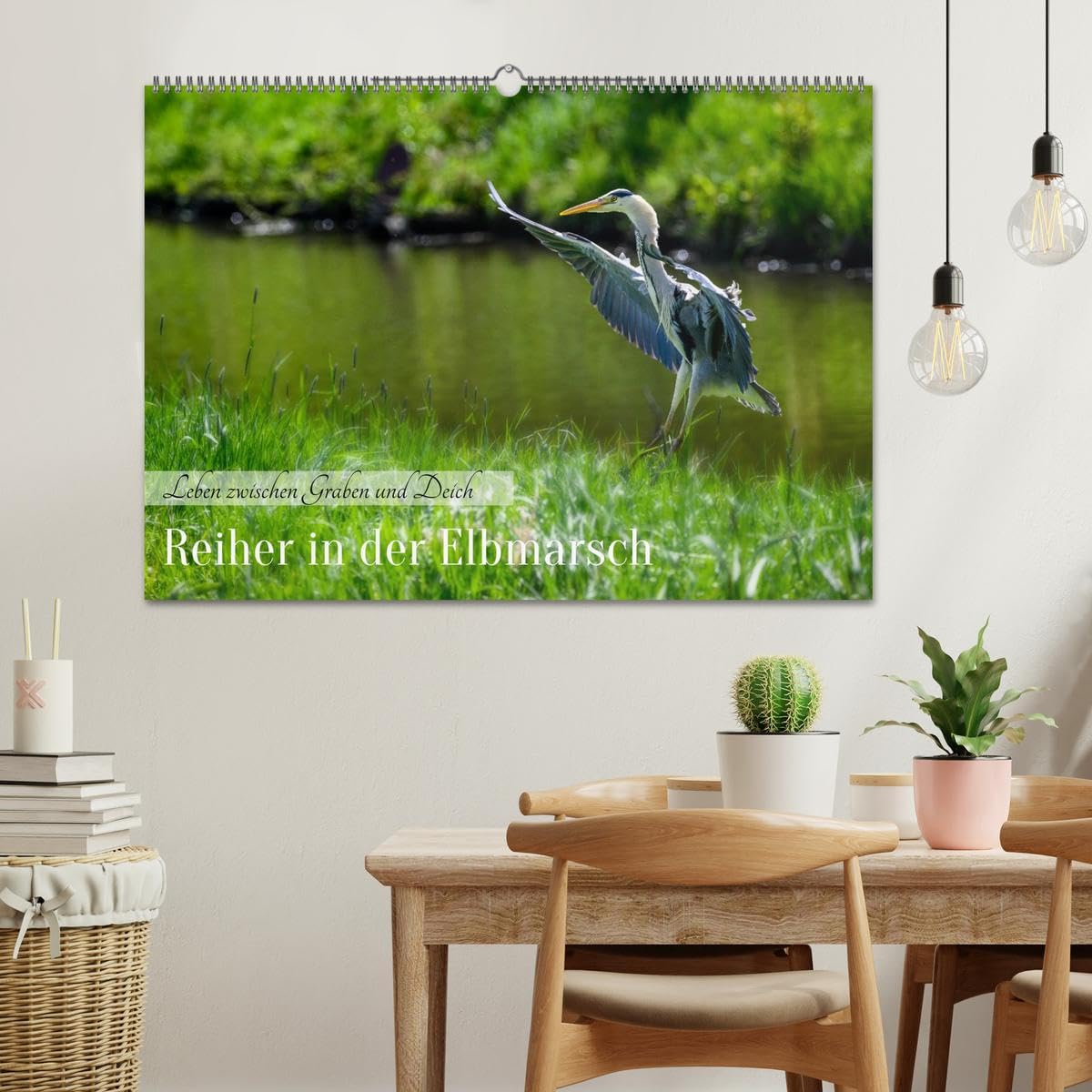 CALVENDO · Reiher in der Elbmarsch (Kalender 2027) | DIN A2 Querformat · Wandkalender · Naturparadies Elbmarsch
