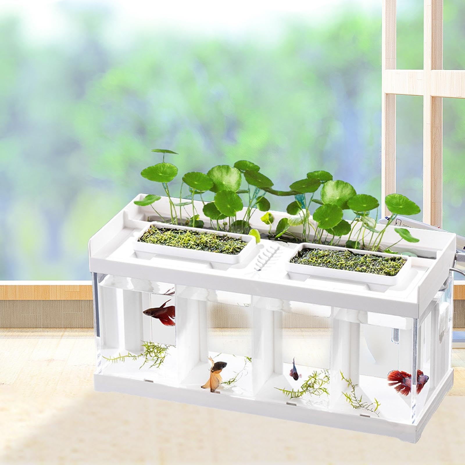 Mini Aquarium mit Integriertem Lichtstreifen Desktop Aquarium Fischzucht Box Aus Stabilem Klarer Fischbehälter mit Dekoration für Betta Fis, 4 Gitter