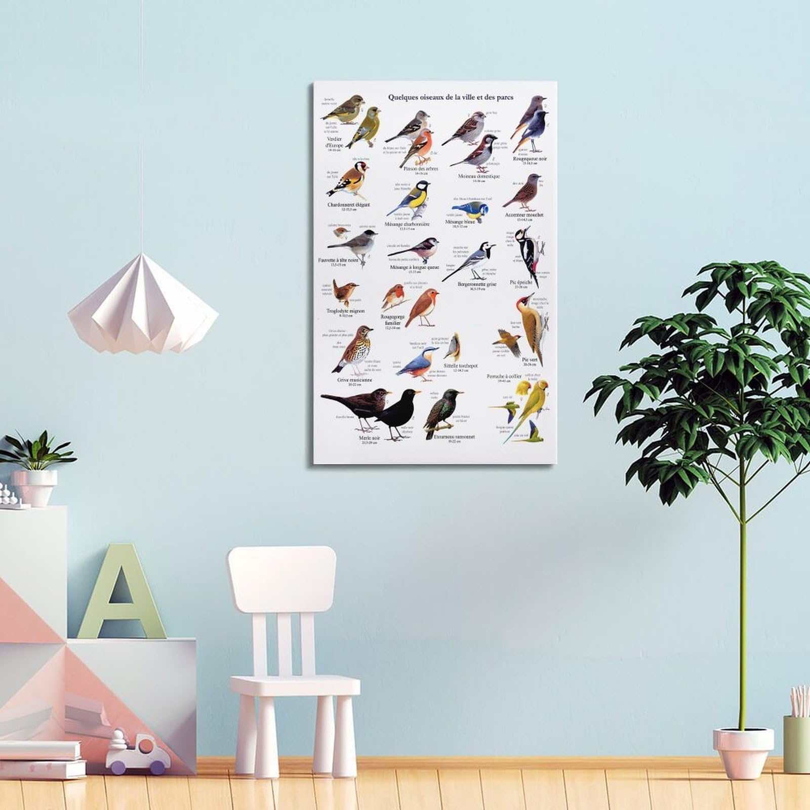 OKNGB Kinder-Zoologie-Pädagogisches Poster, Vogelführer-Poster, dekorative Malerei, Leinwand, Wandposter und Kunstdruck, moderne Familienschlafzimmer-Dekoration, Poster, 60 x 90 cm